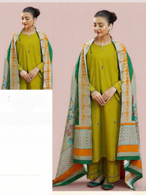 Royal Winter Charm – Dhanak 3PC With Full Embroidery