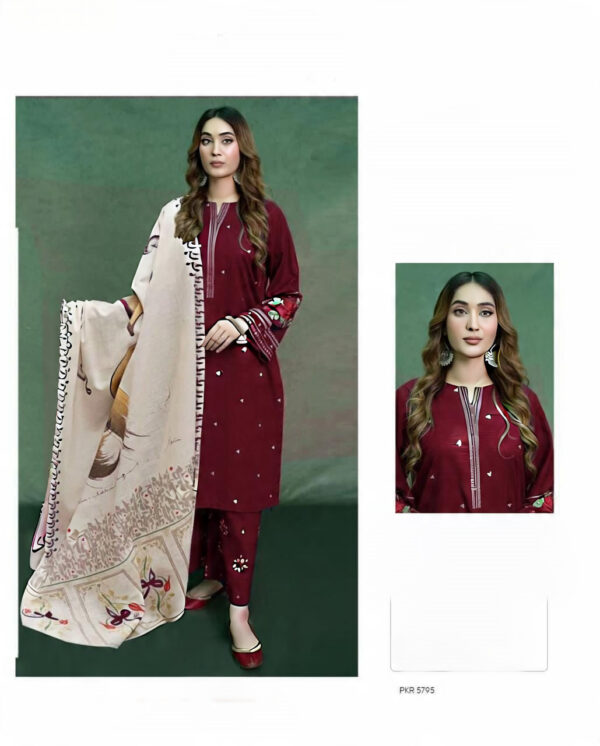 Winter Majesty – Dhanak 3PC With Full Embroidery & Neck Patch