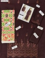 Chickenkari Winter Grace – Dhanak 3PC With Full Chickenkari Embroidery