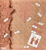 Summer Grace - Lawn 3PC With 4 Side Lace Dupatta